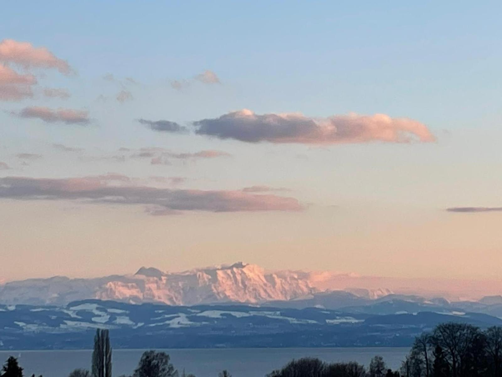 Apartment Bodensee